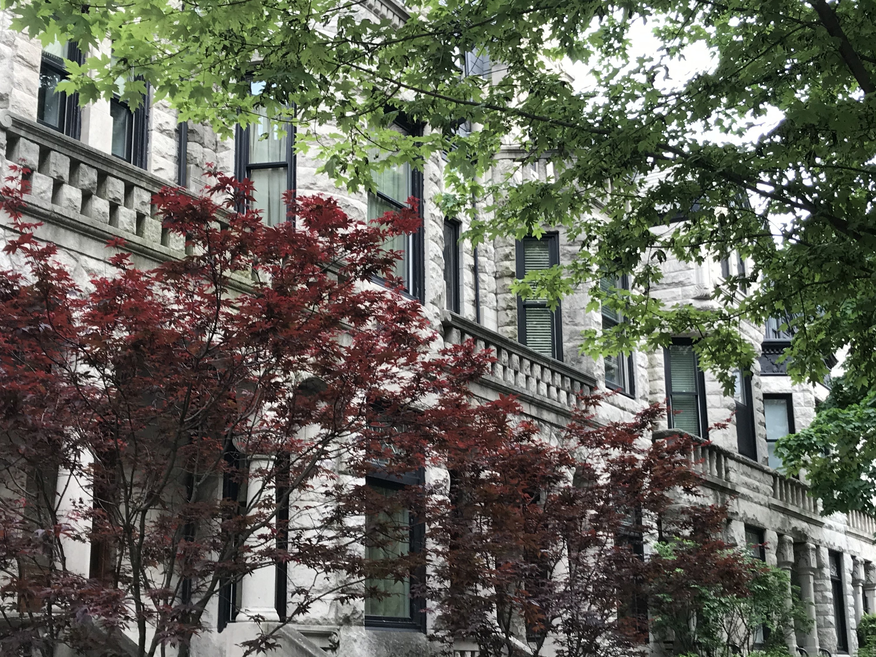 Surf-Pine Grove District